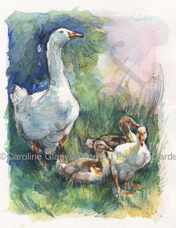 goose and goslings, painting by Caroline Glanville